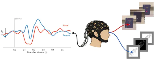 Scene-based Stimulation in the Context of a Visual BCI