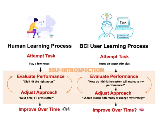 Self-Introspection in BCI